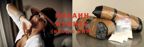 молекула духа Белоозёрский