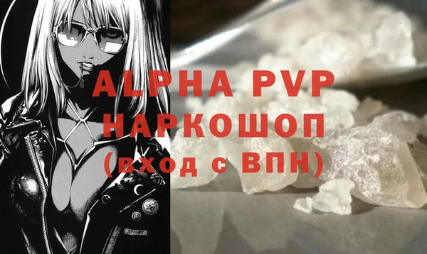 молекула духа Белоозёрский