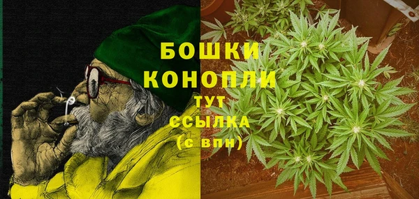 молекула духа Белоозёрский