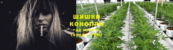 СК Белокуриха