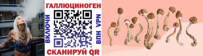 где найти наркотики  Миасс  Псилоцибиновые грибы Cubensis 